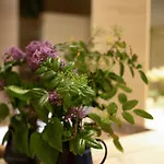 Crystal Apartman *