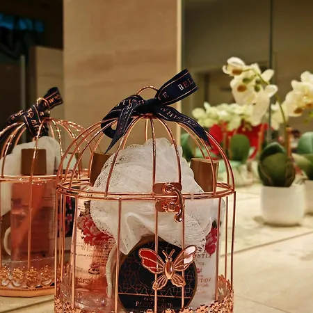 Crystal 크라쿠프