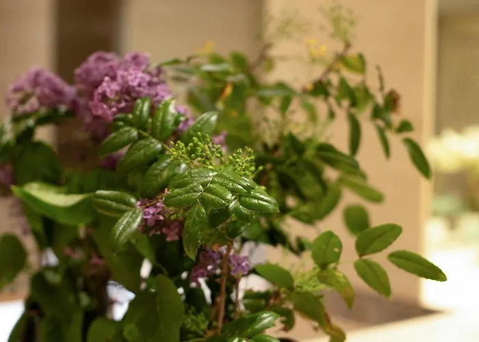 Crystal Apartamento *